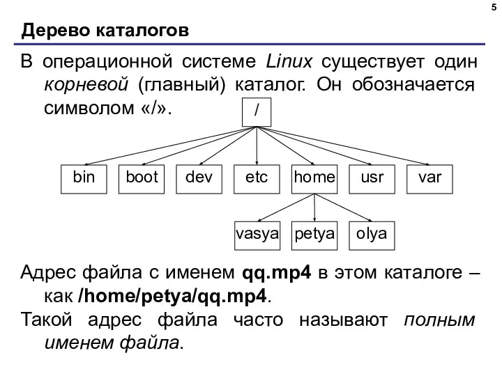 Дерево каталогов В операционной системе Linux существует один корневой (главный) каталог. Он