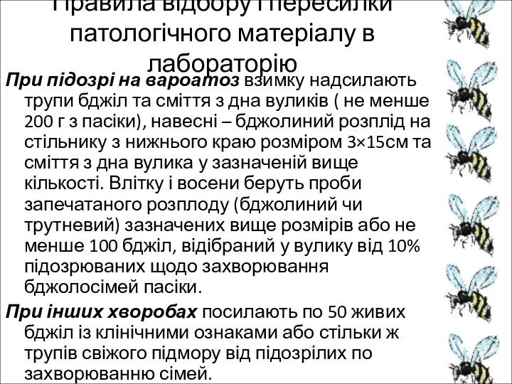 Правила відбору і пересилки патологічного матеріалу в лабораторію При підозрі на вароатоз