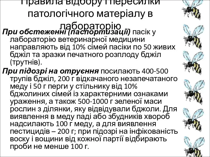 Правила відбору і пересилки патологічного матеріалу в лабораторію При обстеженні (паспортизації) пасік