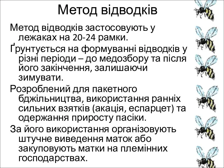 Метод відводків Метод відводків застосовують у лежаках на 20-24 рамки. Ґрунтується на