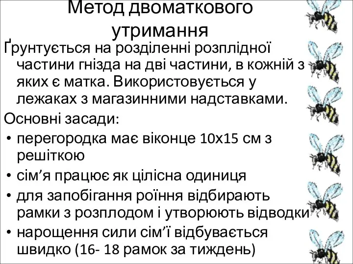 Метод двоматкового утримання Ґрунтується на розділенні розплідної частини гнізда на дві частини,