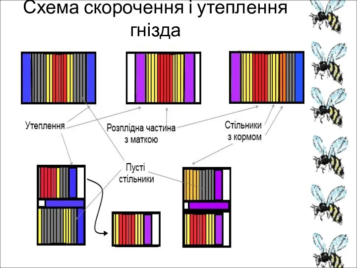 Схема скорочення і утеплення гнізда