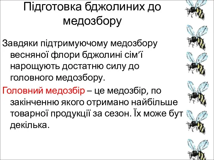 Підготовка бджолиних до медозбору Завдяки підтримуючому медозбору весняної флори бджолині сім’ї нарощують