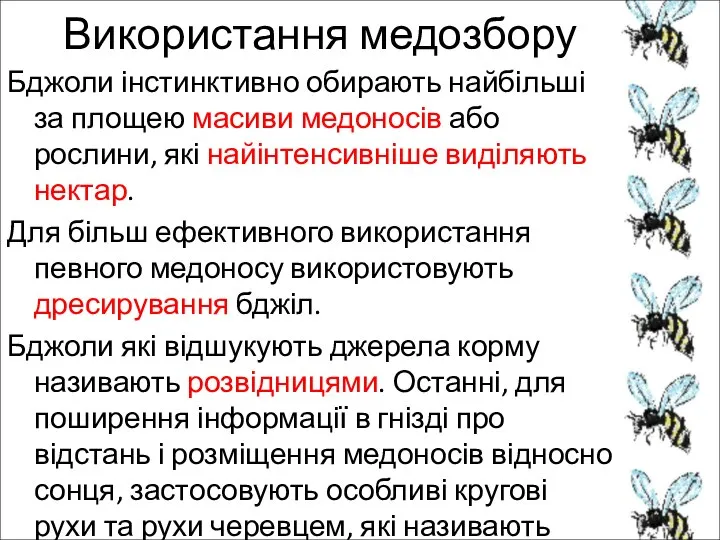 Використання медозбору Бджоли інстинктивно обирають найбільші за площею масиви медоносів або рослини,