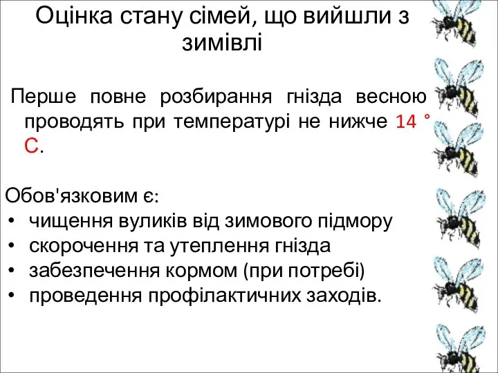 Оцінка стану сімей, що вийшли з зимівлі Перше повне розбирання гнізда весною