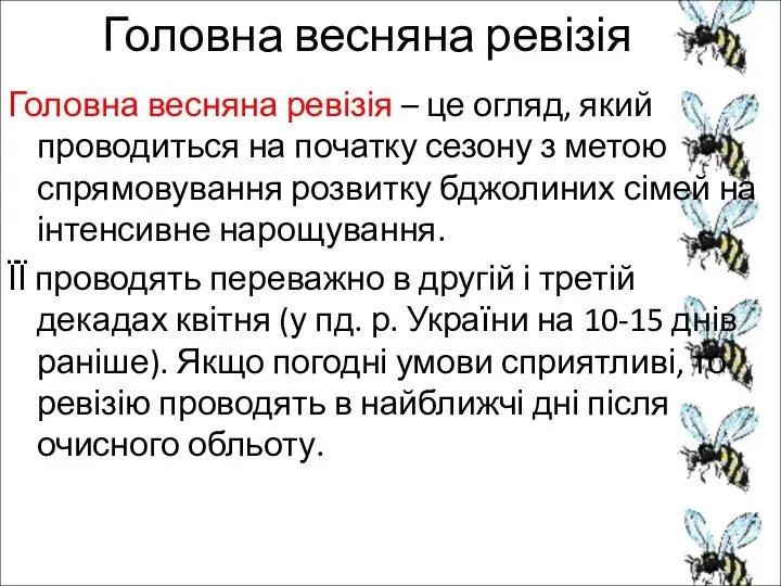 Головна весняна ревізія Головна весняна ревізія – це огляд, який проводиться на