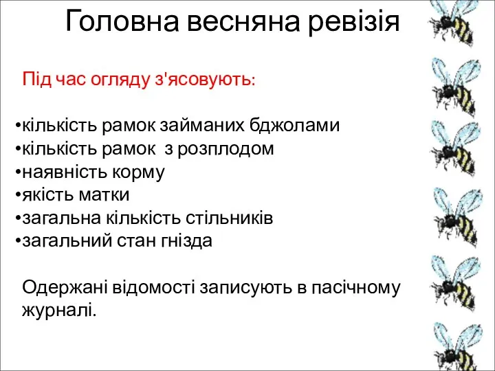 Головна весняна ревізія Під час огляду з'ясовують: кількість рамок займаних бджолами кількість