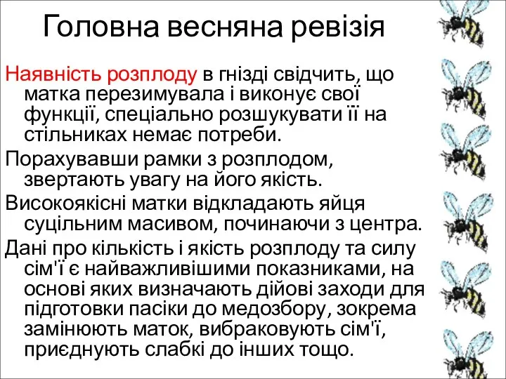 Головна весняна ревізія Наявність розплоду в гнізді свідчить, що матка перезимувала і