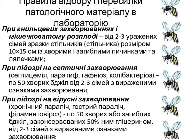 Правила відбору і пересилки патологічного матеріалу в лабораторію При гнильцевих захворюваннях і