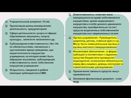 Учредительный документ: Устав Приносящая доход коммерческая деятельность: предусмотрена Сфера деятельности: услуги в