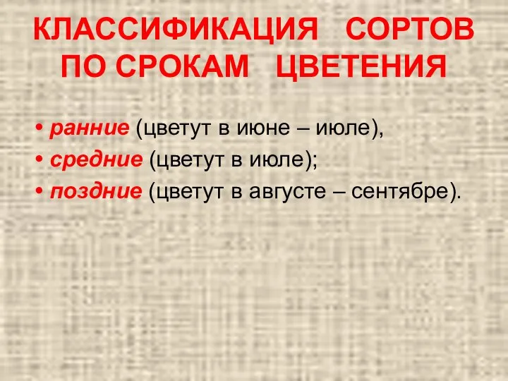 КЛАССИФИКАЦИЯ СОРТОВ ПО СРОКАМ ЦВЕТЕНИЯ ранние (цветут в июне – июле), средние