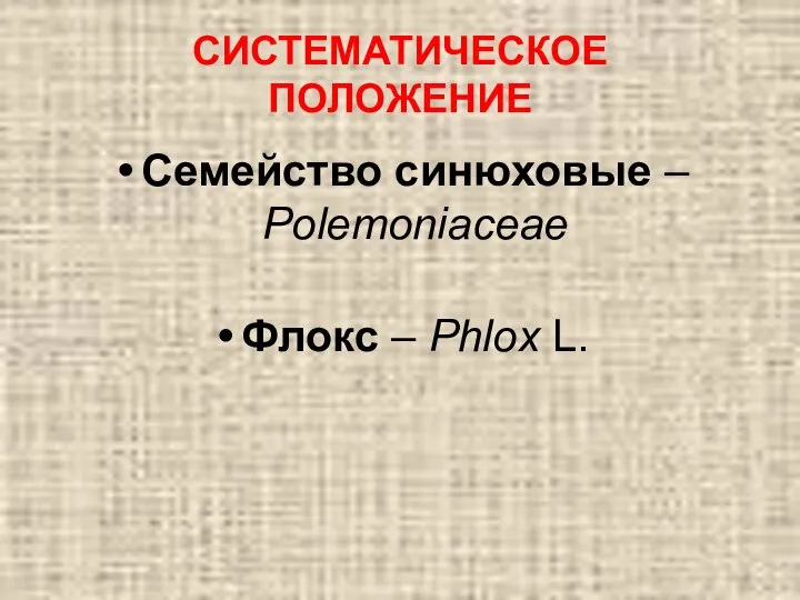 СИСТЕМАТИЧЕСКОЕ ПОЛОЖЕНИЕ Семейство синюховые – Polemoniaceae Флокс – Phlox L.