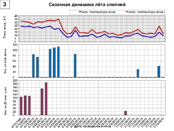 Сезонная динамика лёта слепней 3