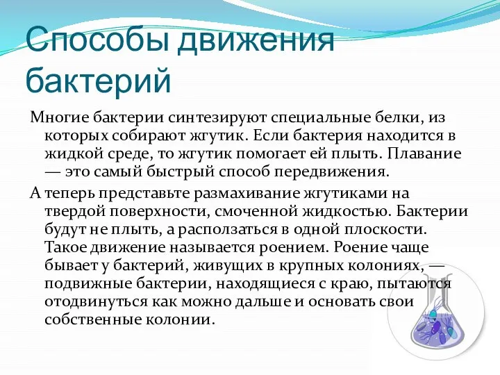 Способы движения бактерий Многие бактерии синтезируют специальные белки, из которых собирают жгутик.