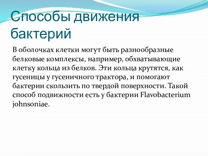 Способы движения бактерий В оболочках клетки могут быть разнообразные белковые комплексы, например,