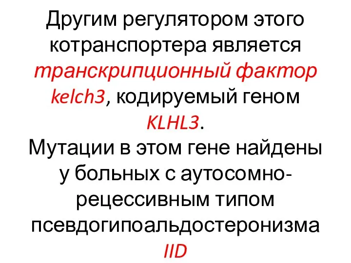 Другим регулятором этого котранспортера является транскрипционный фактор kelch3, кодируемый геном KLHL3. Мутации