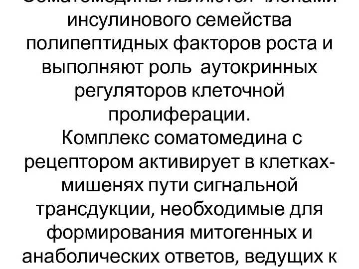 Соматомедины являются членами инсулинового семейства полипептидных факторов роста и выполняют роль аутокринных