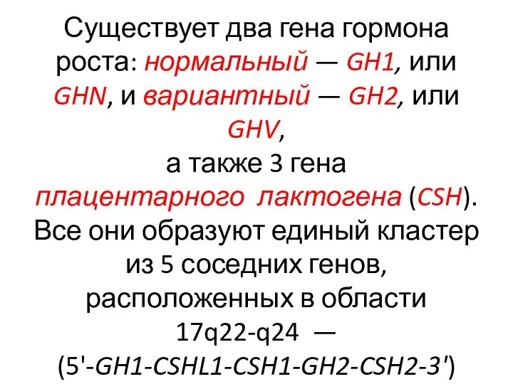 Существует два гена гормона роста: нормальный — GH1, или GHN, и вариантный