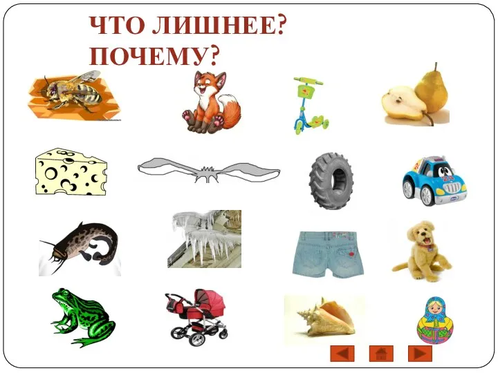 ЧТО ЛИШНЕЕ? ПОЧЕМУ?