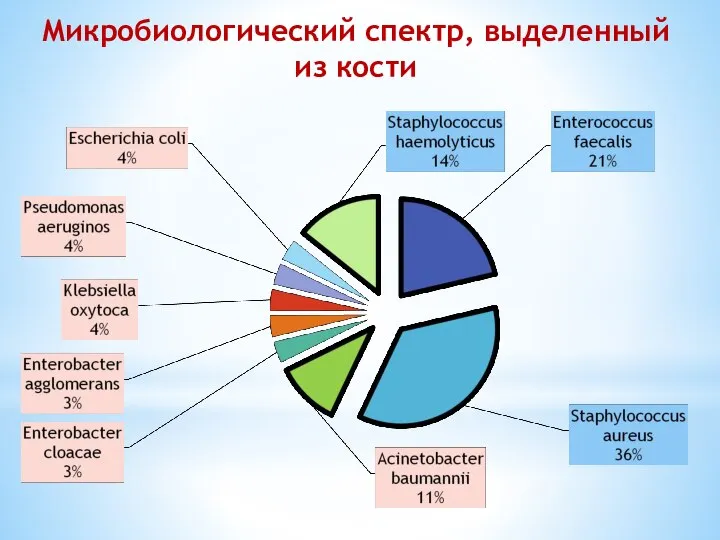 Микробиологический спектр, выделенный из кости