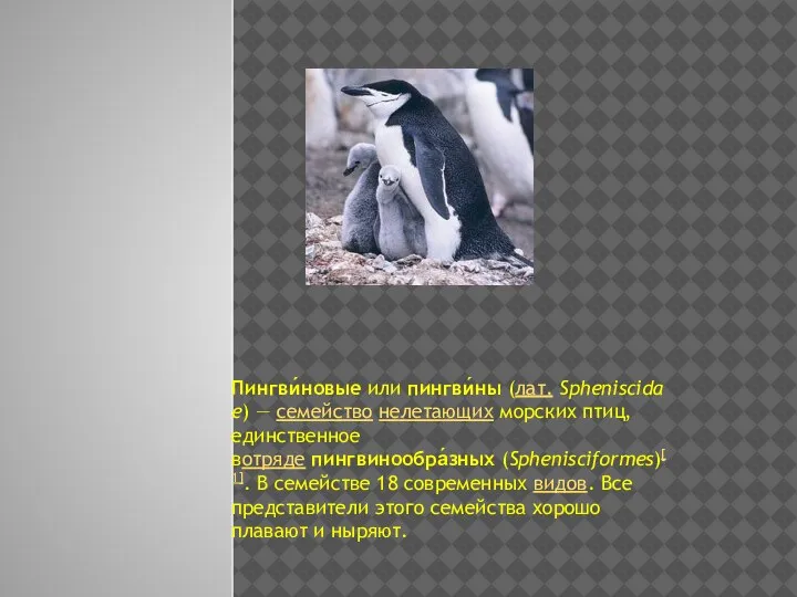 Пингви́новые или пингви́ны (лат. Spheniscidae) — семейство нелетающих морских птиц, единственное вотряде