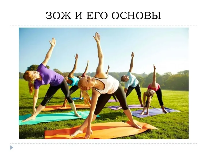 ЗОЖ И ЕГО ОСНОВЫ