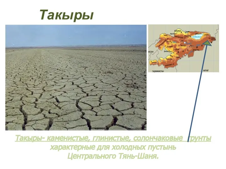 Такыры- каменистые, глинистые, солончаковые грунты характерные для холодных пустынь Центрального Тянь-Шаня. Такыры