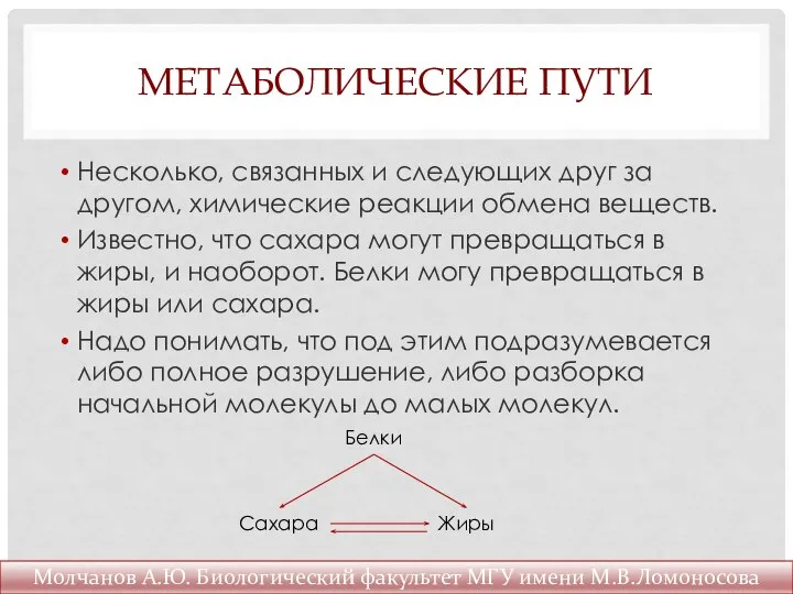 МЕТАБОЛИЧЕСКИЕ ПУТИ Несколько, связанных и следующих друг за другом, химические реакции обмена