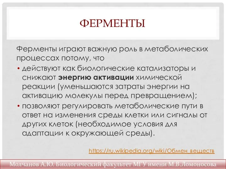 ФЕРМЕНТЫ Ферменты играют важную роль в метаболических процессах потому, что действуют как