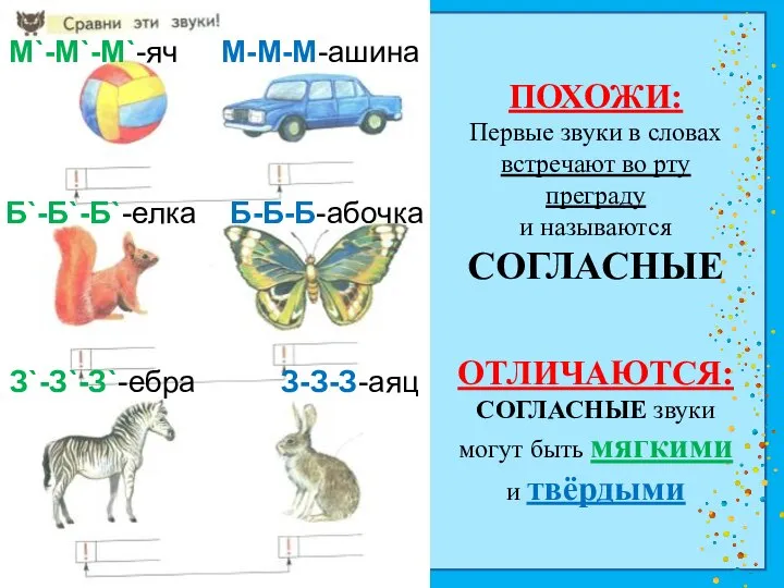 М`-М`-М`-яч М-М-М-ашина Б`-Б`-Б`-елка Б-Б-Б-абочка З`-З`-З`-ебра З-З-З-аяц ПОХОЖИ: Первые звуки в словах встречают