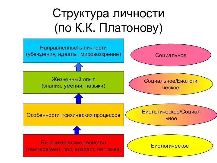 Структура личности (по К.К. Платонову) Направленность личности (убеждения, идеалы, мировоззрение) Жизненный опыт