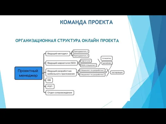 КОМАНДА ПРОЕКТА ОРГАНИЗАЦИОННАЯ СТРУКТУРА ОНЛАЙН ПРОЕКТА