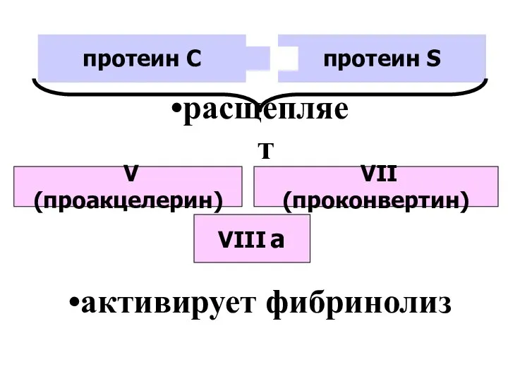 протеин C протеин S VIII а V (проакцелерин) расщепляет VII (проконвертин) активирует фибринолиз