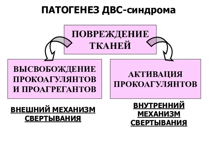 ПАТОГЕНЕЗ ДВС-синдрома ПОВРЕЖДЕНИЕ ТКАНЕЙ ВЫСВОБОЖДЕНИЕ ПРОКОАГУЛЯНТОВ И ПРОАГРЕГАНТОВ АКТИВАЦИЯ ПРОКОАГУЛЯНТОВ ВНЕШНИЙ МЕХАНИЗМ СВЕРТЫВАНИЯ ВНУТРЕННИЙ МЕХАНИЗМ СВЕРТЫВАНИЯ