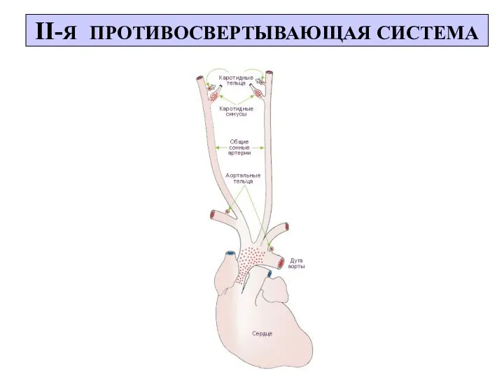 II-Я ПРОТИВОСВЕРТЫВАЮЩАЯ СИСТЕМА