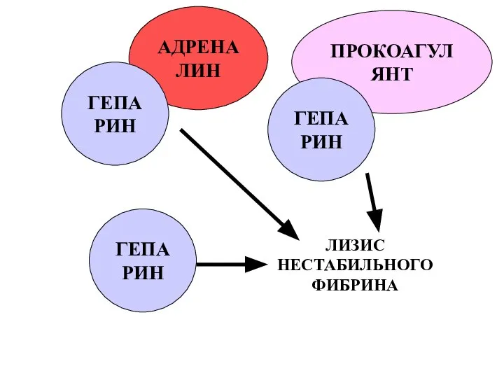 ЛИЗИС НЕСТАБИЛЬНОГО ФИБРИНА ПРОКОАГУЛЯНТ АДРЕНАЛИН ГЕПАРИН ГЕПАРИН ГЕПАРИН