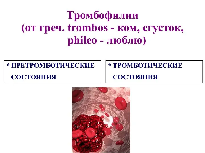 Тромбофилии (от греч. trombos - ком, сгусток, phileo - люблю) * ПРЕТРОМБОТИЧЕСКИЕ СОСТОЯНИЯ * ТРОМБОТИЧЕСКИЕ СОСТОЯНИЯ