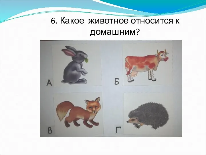 6. Какое животное относится к домашним?