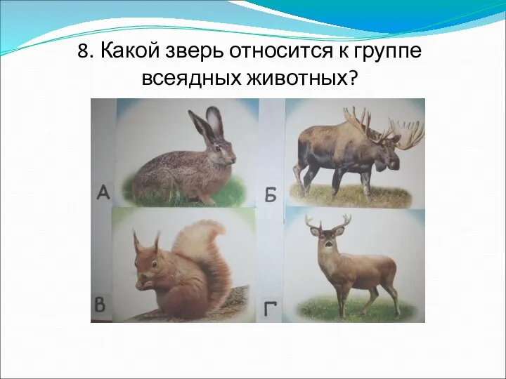 8. Какой зверь относится к группе всеядных животных?