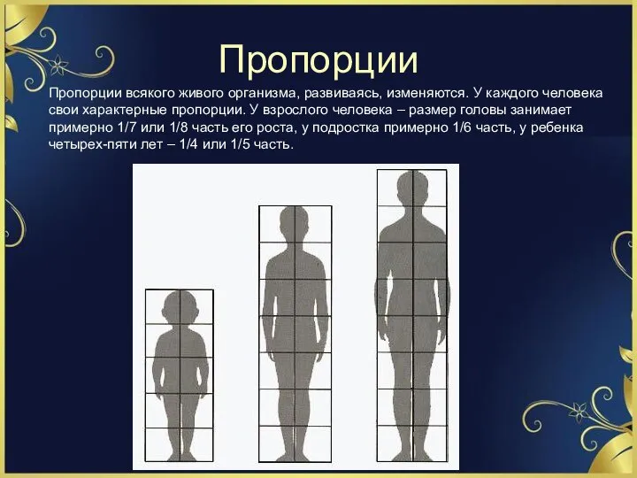 Пропорции Пропорции всякого живого организма, развиваясь, изменяются. У каждого человека свои характерные