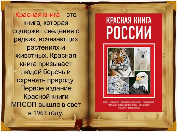 Красная книга – это книга, которая содержит сведения о редких, исчезающих растениях