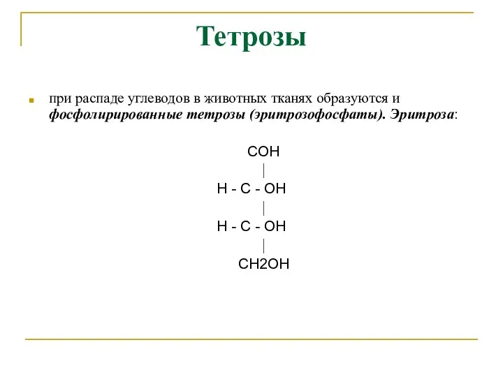 Тетрозы при распаде углеводов в животных тканях образуются и фосфолирированные тетрозы (эритрозофосфаты).