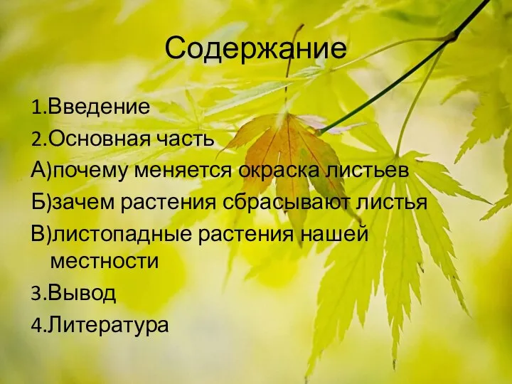 Содержание 1.Введение 2.Основная часть А)почему меняется окраска листьев Б)зачем растения сбрасывают листья