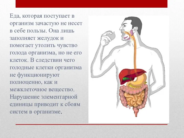 Еда, которая поступает в организм зачастую не несет в себе пользы. Она