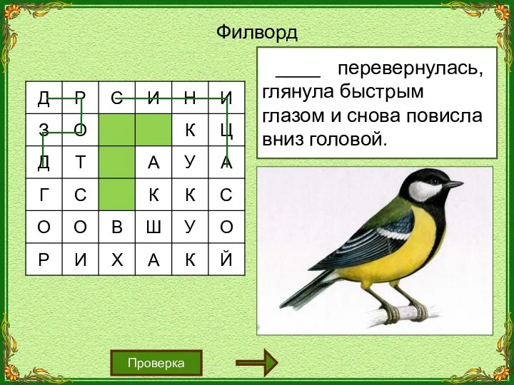 Филворд Синица перевернулась, глянула быстрым глазом и снова повисла вниз головой. Проверка ____