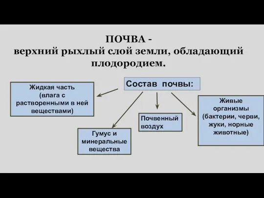 ПОЧВА - верхний рыхлый слой земли, обладающий плодородием. Состав почвы: Жидкая часть