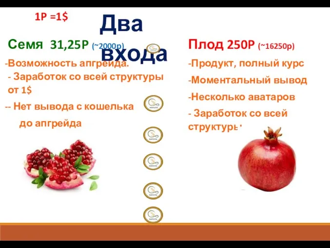 Семя 31,25P (~2000р) Возможность апгрейда. - Заработок со всей структуры от 1$