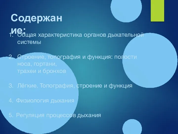 Содержание: Общая характеристика органов дыхательной системы Строение, топография и функция: полости носа,