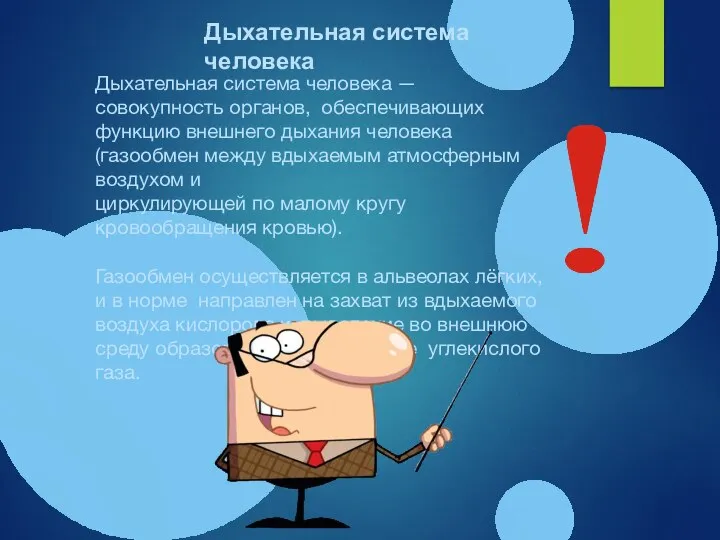 Дыхательная система человека — совокупность органов, обеспечивающих функцию внешнего дыхания человека (газообмен