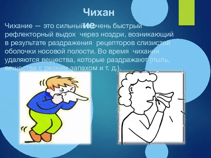 Чихание — это сильный и очень быстрый рефлекторный выдох через ноздри, возникающий